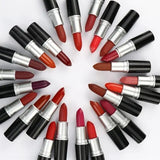 AIN Matte Lipstick Waterproof Long Lasting 14 Colour Lipstick Lip Makeup